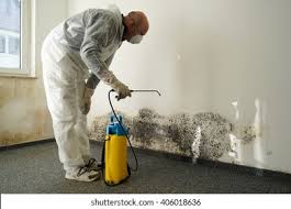 Best Commercial Mold Inspection  in Ambridge, PA